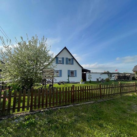 Pension Landhaus An Der Saale Bernburg Εξωτερικό φωτογραφία